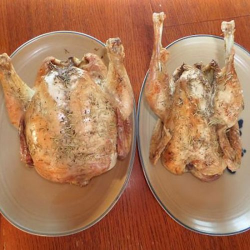 Meat Chicken Comparison